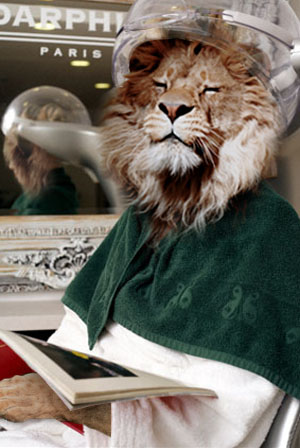 Diseño de Photoshop por Deborahb para DesignCrowd (Community Contests) | Diseño #9017938