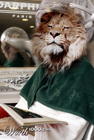 Photoshop Design by Deborahb