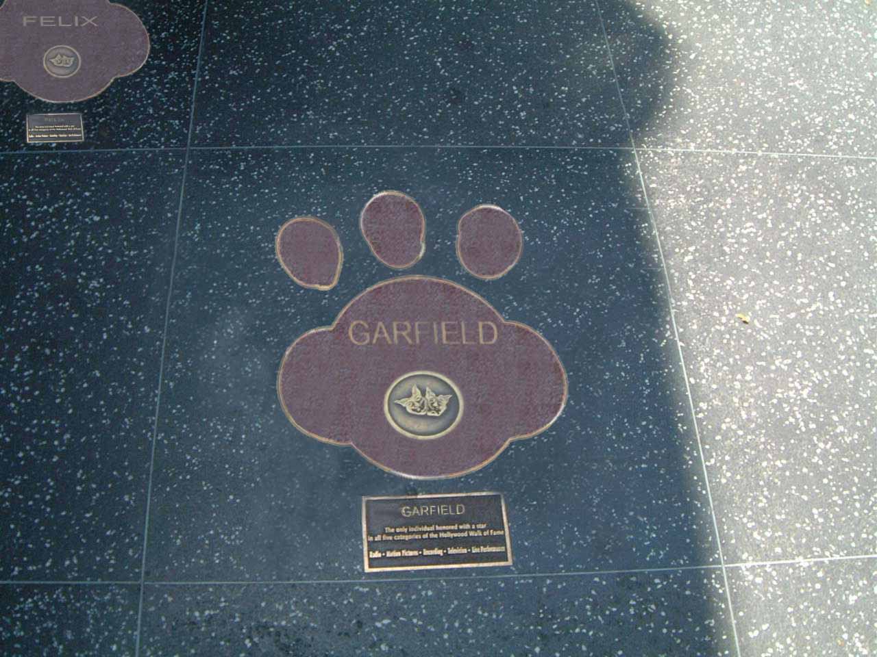 Photoshop Design by legolasdelf for DesignCrowd (Community Contests) | Design #9017950