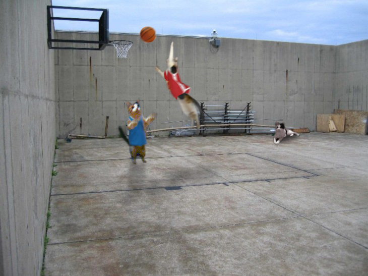 Diseño de Photoshop por donutman para DesignCrowd (Community Contests) | Diseño #9018024