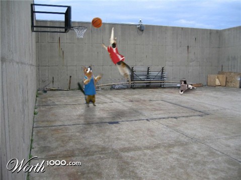 Photoshop Design by donutman