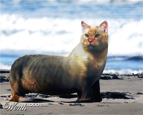 Photoshop Design by RickLaMesa