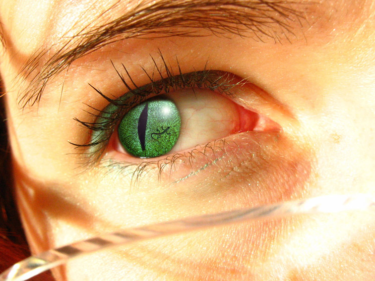 Design Photoshop par GentleZephyr pour DesignCrowd (Community Contests) | Design #9016941