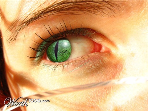 Photoshop Design by GentleZephyr