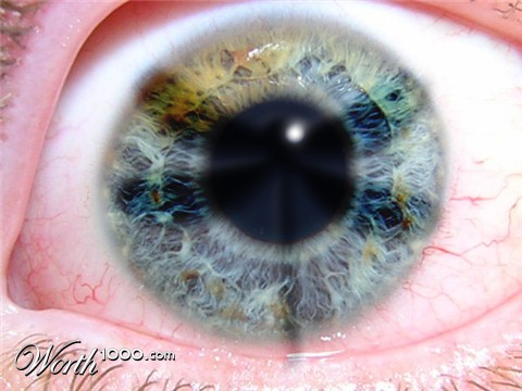 Photoshop Design by Link126