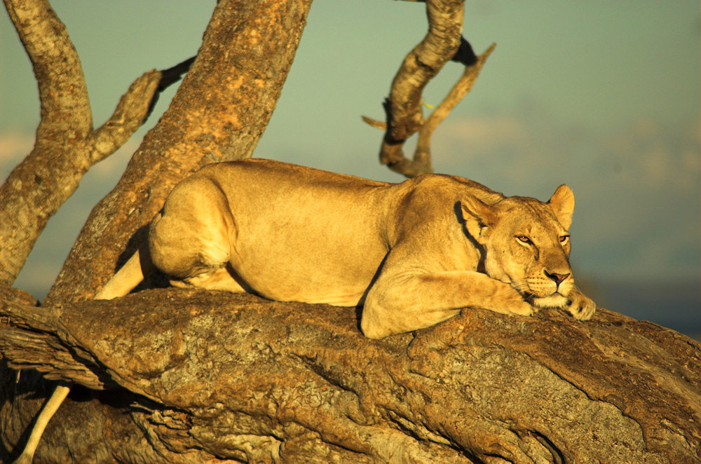 Photography by unit25 for DesignCrowd (Community Contests) | Design #9023860