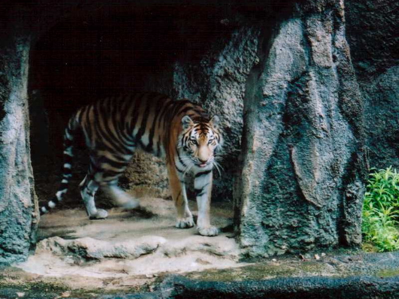 Photography by Maverick900407 for DesignCrowd (Community Contests) | Design #9023901