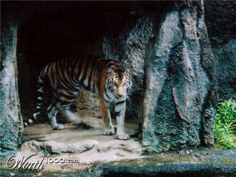 Photography by Maverick900407