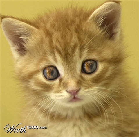 Photoshop Design by skipperw