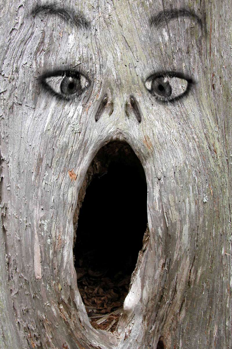 Photoshop-Design von deerreaper für DesignCrowd (Community Contests) | Design #9017013