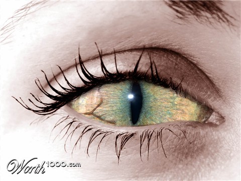 Photoshop Design by Francillon