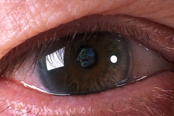 Photoshop Design by bennyandthemets for DesignCrowd (Community Contests) | Design #9017150