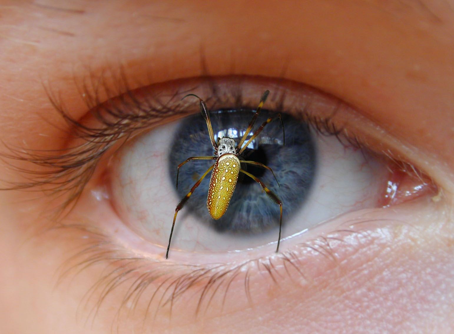 Photoshop Design by zynnya for DesignCrowd (Community Contests) | Design #9017113