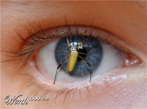 Photoshop Design by zynnya