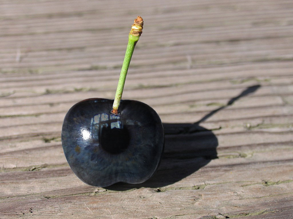 Design Photoshop par raven100 pour DesignCrowd (Community Contests) | Design #9017064