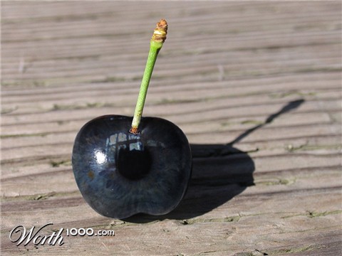 Photoshop Design by raven100