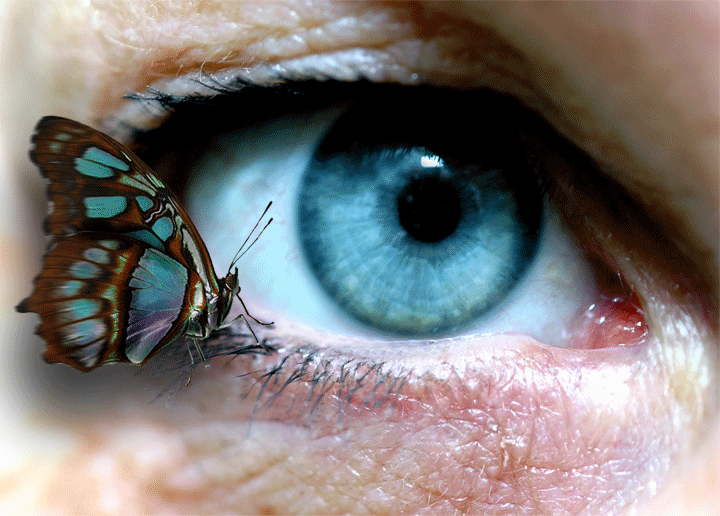 Photoshop Design by abarbiedoll6538 for DesignCrowd (Community Contests) | Design #9017129