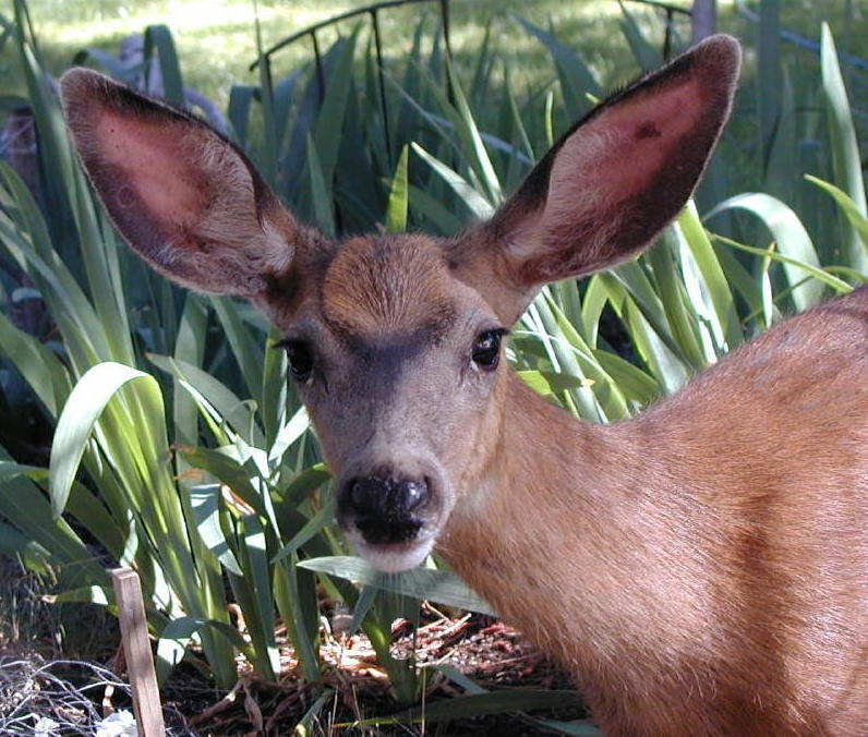 Photographie par cliknsnap pour DesignCrowd (Community Contests) | Design #9023894