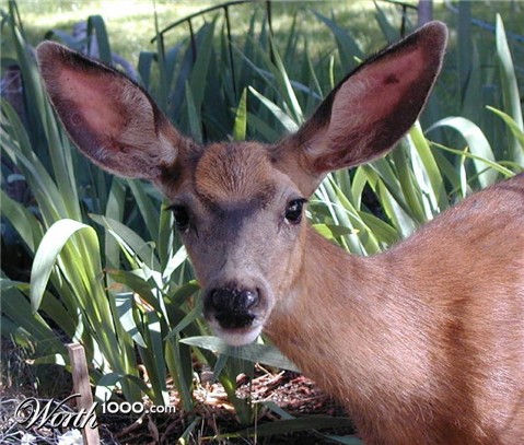 Photography by cliknsnap