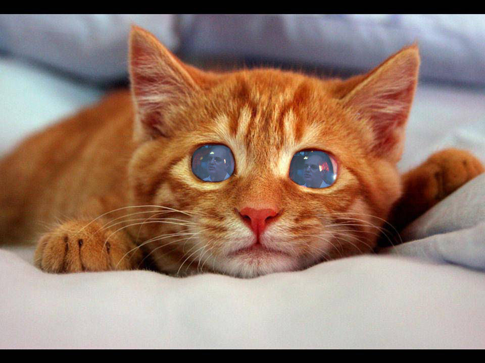 Photoshop-Design von yavannilde für DesignCrowd (Community Contests) | Design #9017062