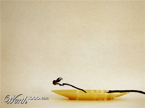 Photography by gormax