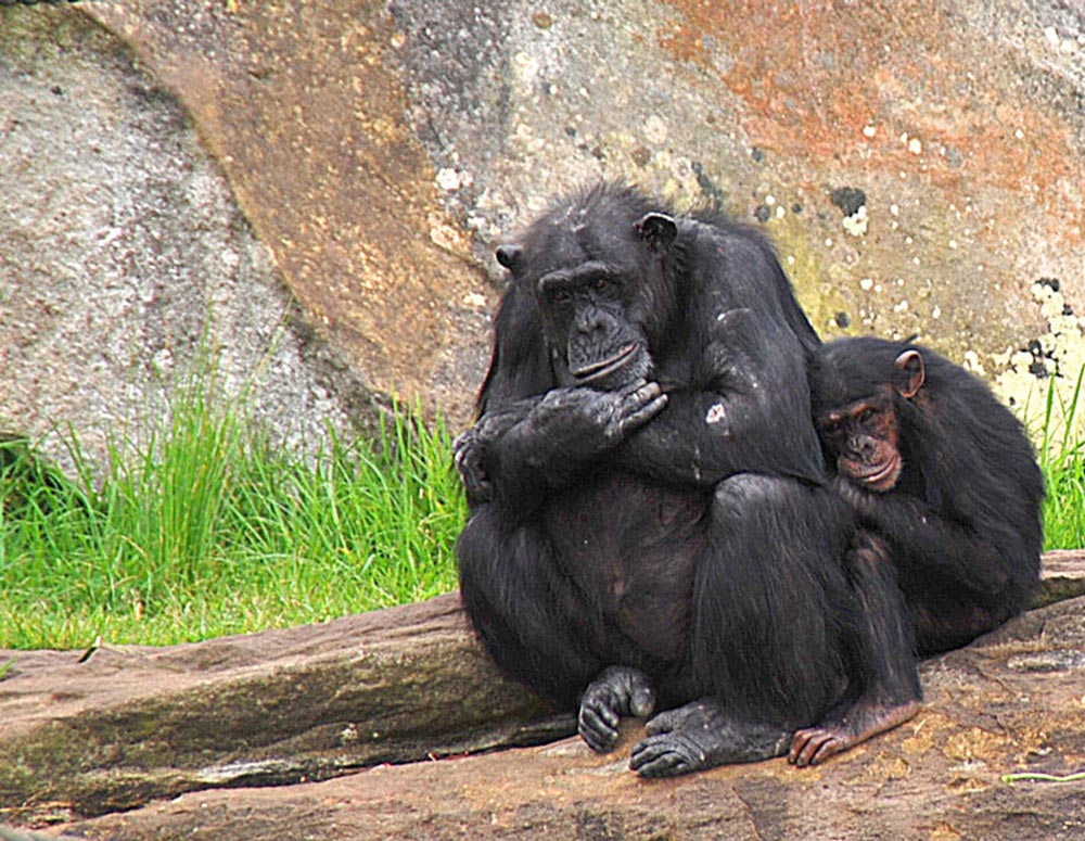 Fotografía por gymp93 para DesignCrowd (Community Contests) | Diseño #9023917