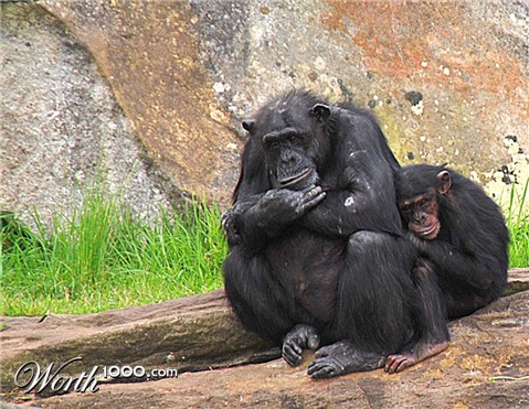 Photography by gymp93