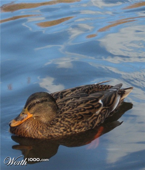 Photography by allboutme