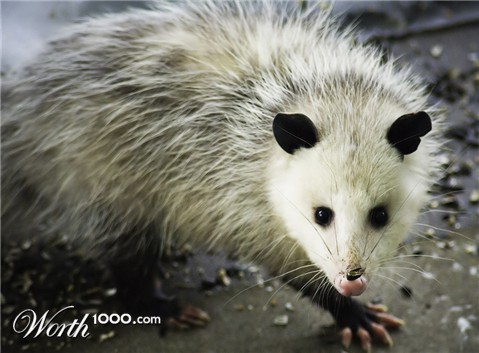 Photography by Keelonzo