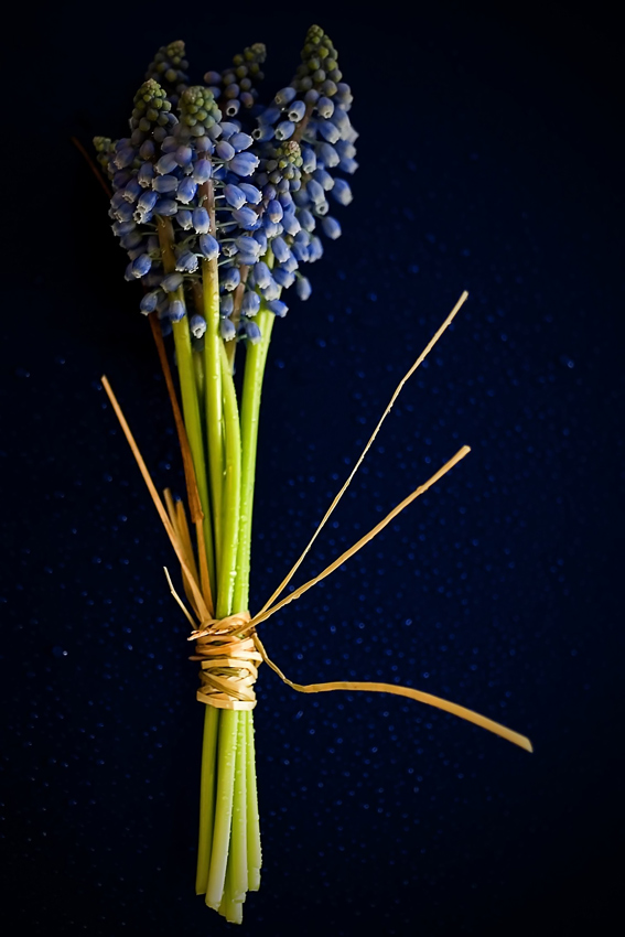 Photography by Marian for DesignCrowd (Community Contests) | Design #9017944