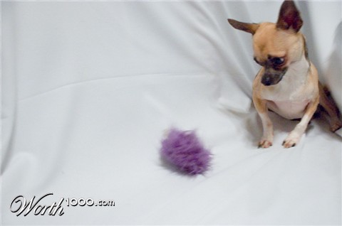 Photography by Sausykat