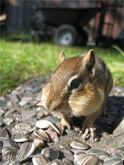 Photography by AvedaRose