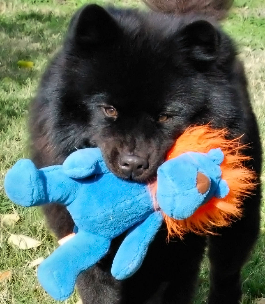 Photography by alwaysbeencreative for DesignCrowd (Community Contests) | Design #9017966