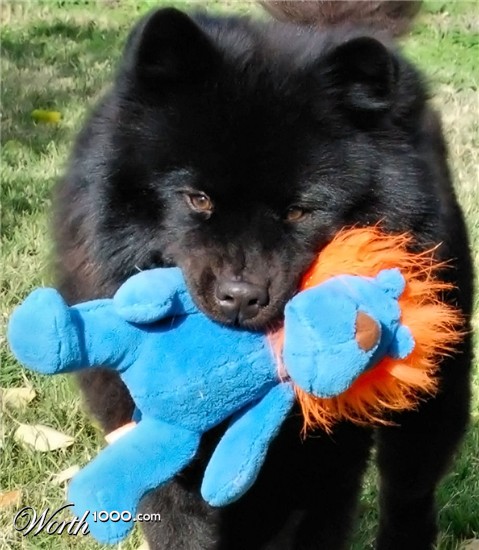 Photography by alwaysbeencreative