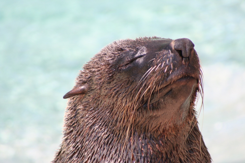 Fotografía por CookieMunster para DesignCrowd (Community Contests) | Diseño #9024055