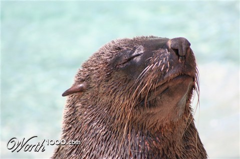 Photography by CookieMunster