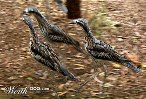 Photography by Isabella2006