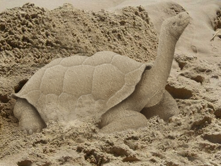 Photoshop Design by vertigopolka for DesignCrowd (Community Contests) | Design #9017760