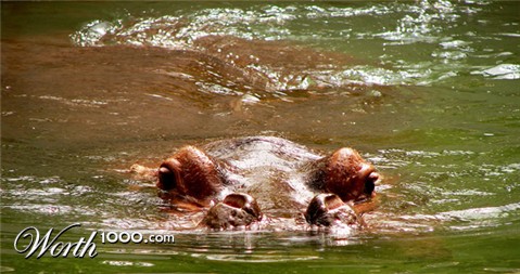 Photography by scotty2hotty