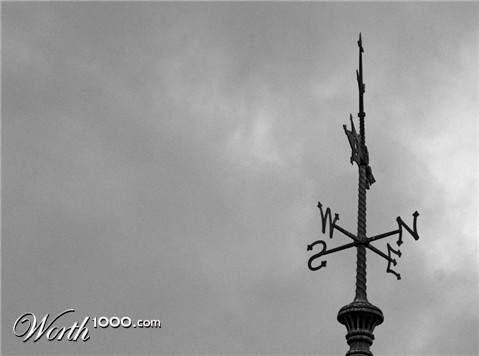 Photography by Massie