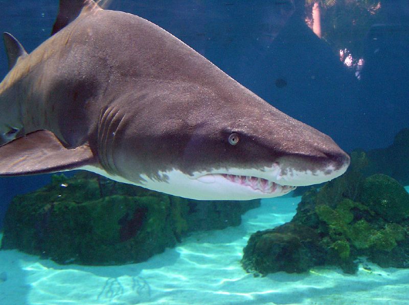 Photography by kwannon for DesignCrowd (Community Contests) | Design #9019324