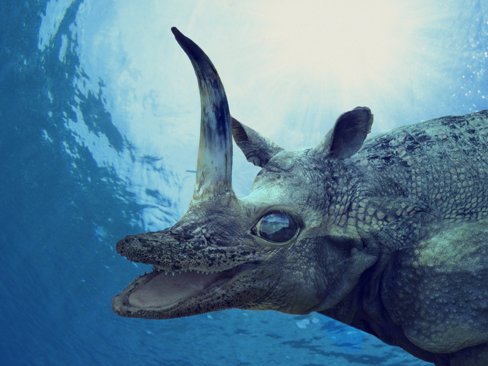 this photoshop contest is now closed 55 creatives participated