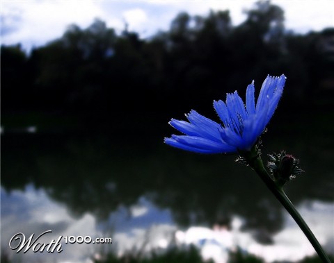 Photography by Firenzesca