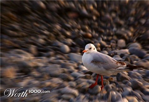 Photography by Samogitan