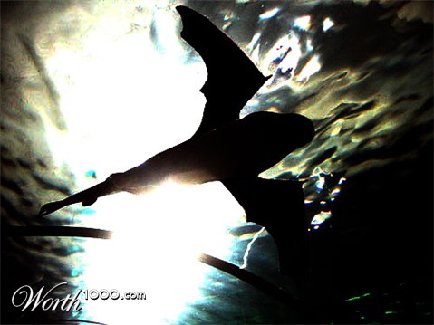 Photoshop Design by fossilsngems