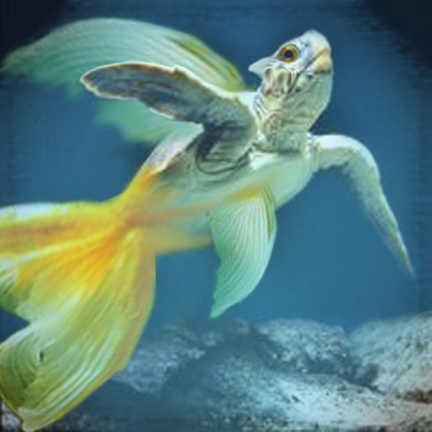 Photoshop Design by Sankrah for DesignCrowd (Community Contests) | Design #9023086