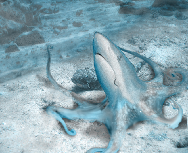Photoshop Design by NorwayDude for DesignCrowd (Community Contests) | Design #9023101
