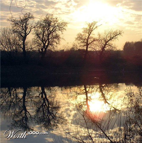 Photography by sorinj