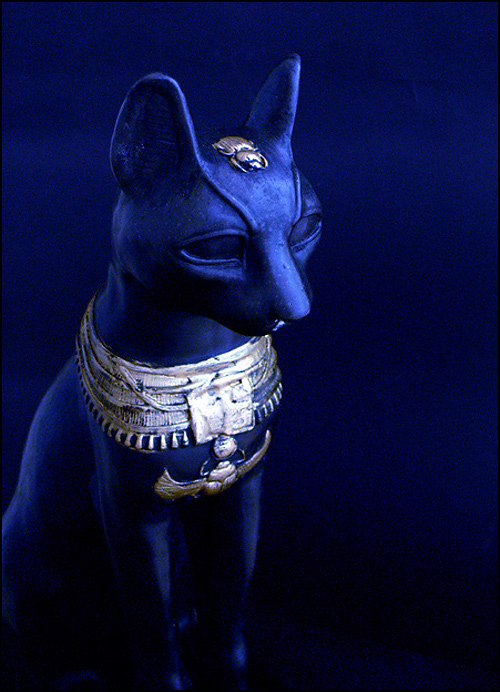 Fotografie von droomluiperd für DesignCrowd (Community Contests) | Design #9017999