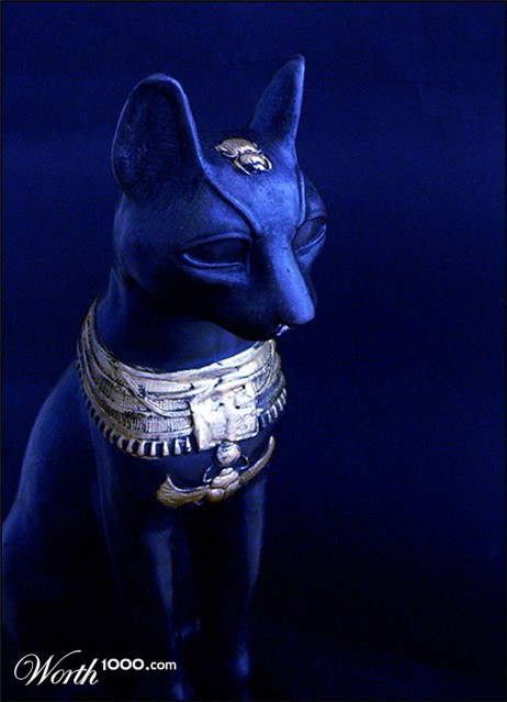 Photography by droomluiperd